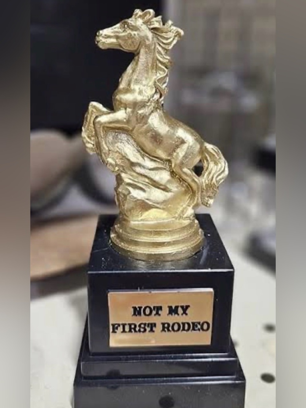 Gold Horse Not My First Rodeo Trophy Award